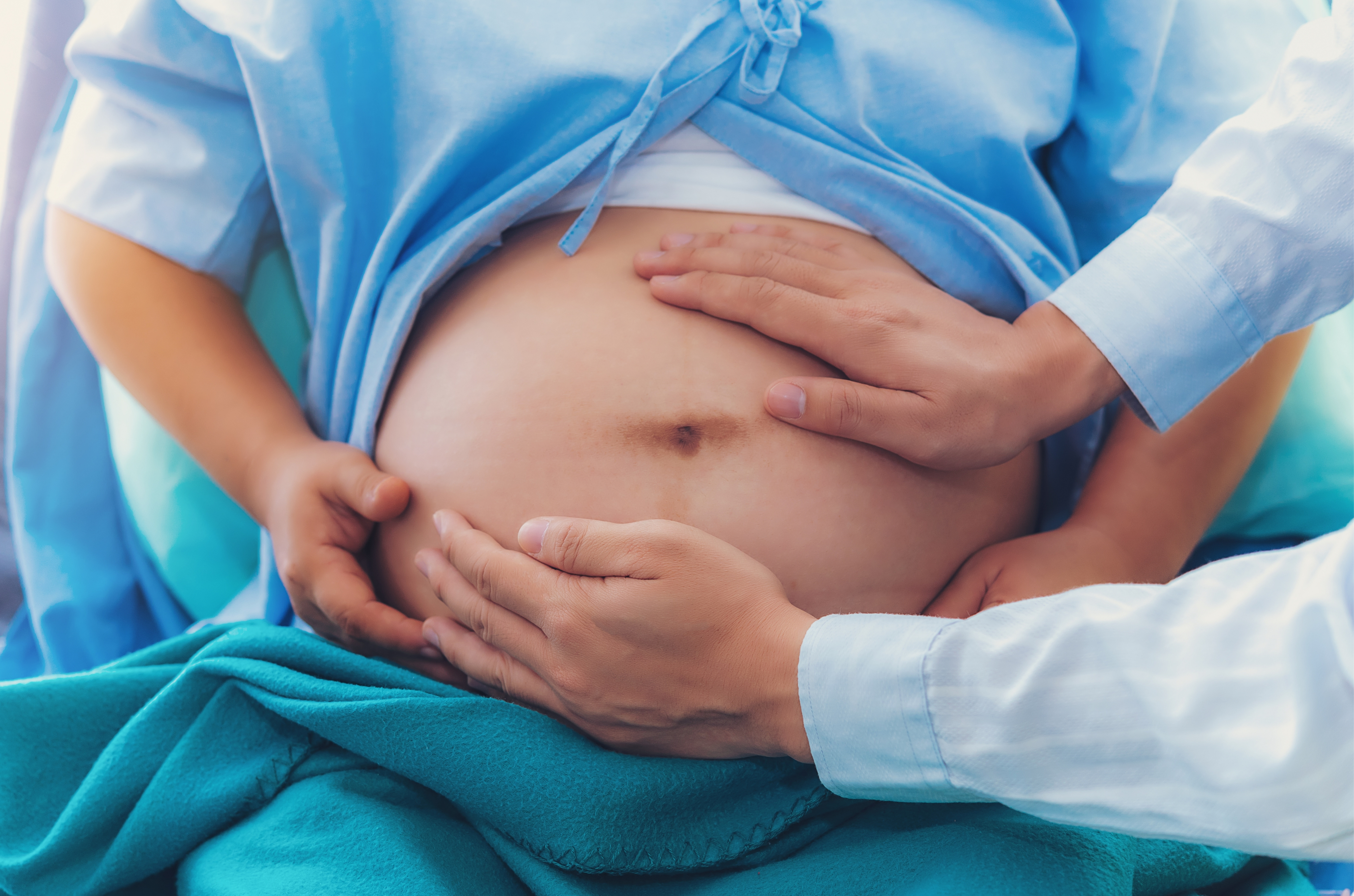 SC debate humanização do parto em audiência pública na Alesc