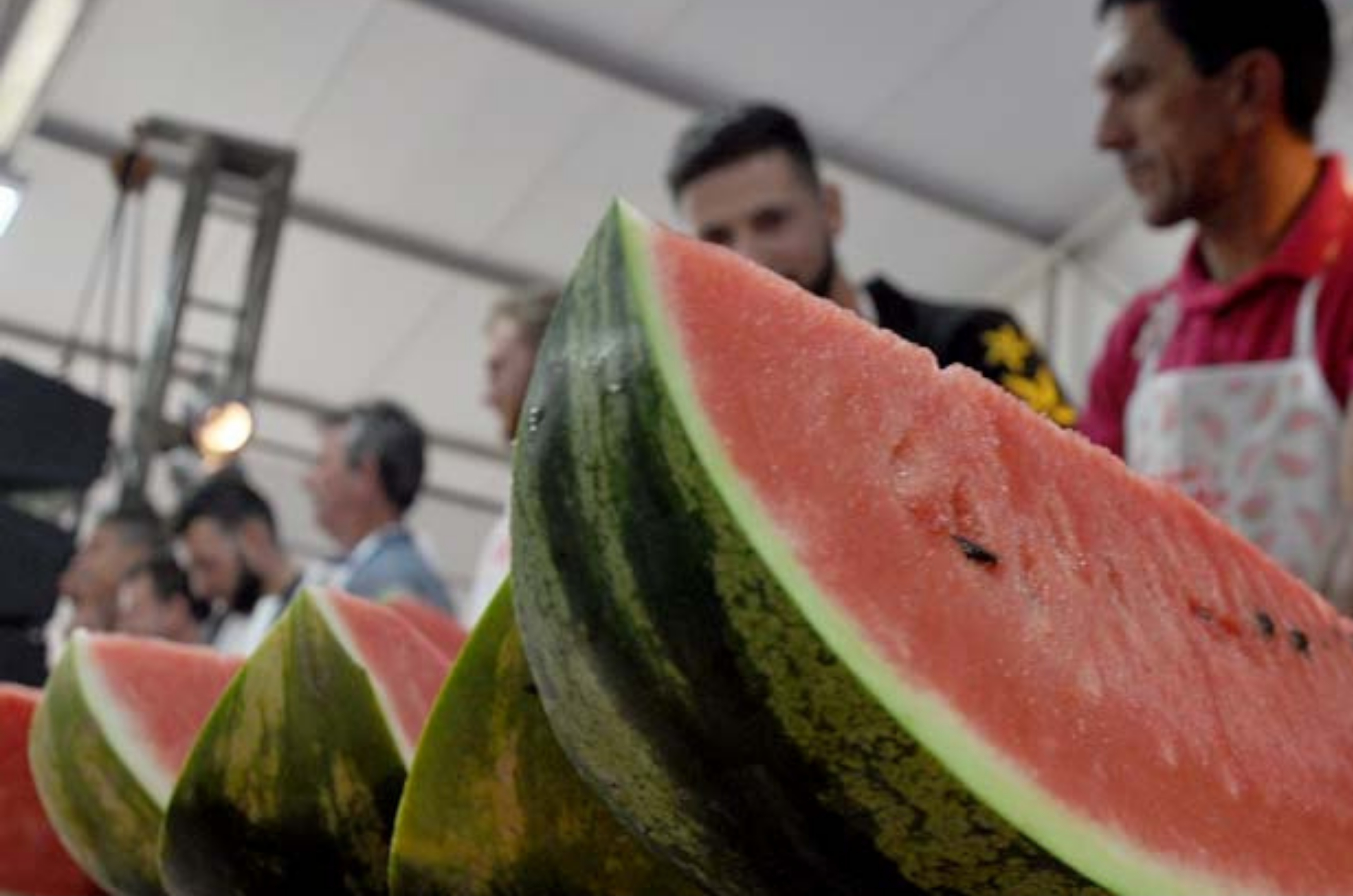 60ª Festa da Melancia promete quatro dias de shows, tradição e entrada gratuita em Içara