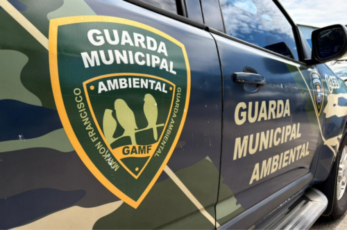 Atuação integrada amplia combate a maus-tratos e abandono animal em Itajaí