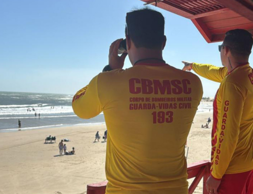 Casos de queimaduras por água-viva já passam de 1,3 mil no Sul de Santa Catarina