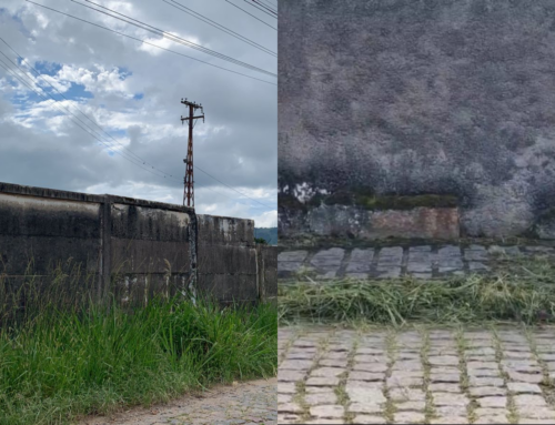 Após denúncia da reportagem, calçada recebe trabalhos de limpeza em Tubarão