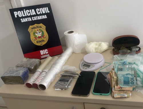 Polícia Civil cumpre mandado e apreende drogas em Laguna