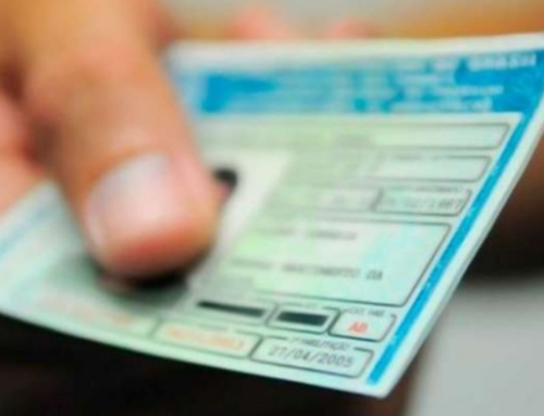 Mais de 13 mil motoristas renovam CNH automaticamente em Santa Catarina