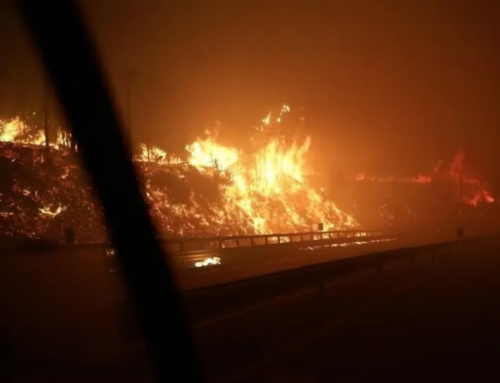 Incêndios no sul do Chile deixam 19 mortos e 50 mil desalojados