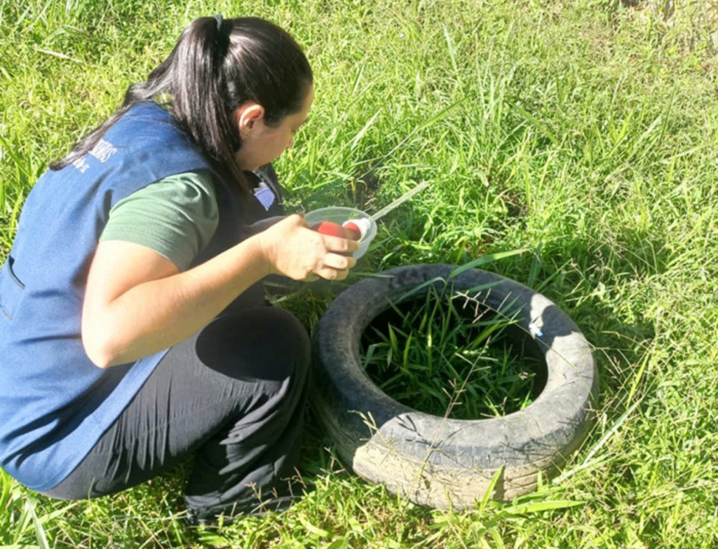 Aumento de focos do Aedes aegypti coloca Amurel em alerta para dengue