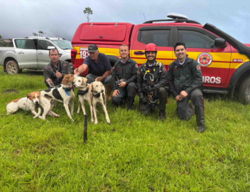 Bombeiros resgatam cães de caça perdidos em área de mata em Orleans