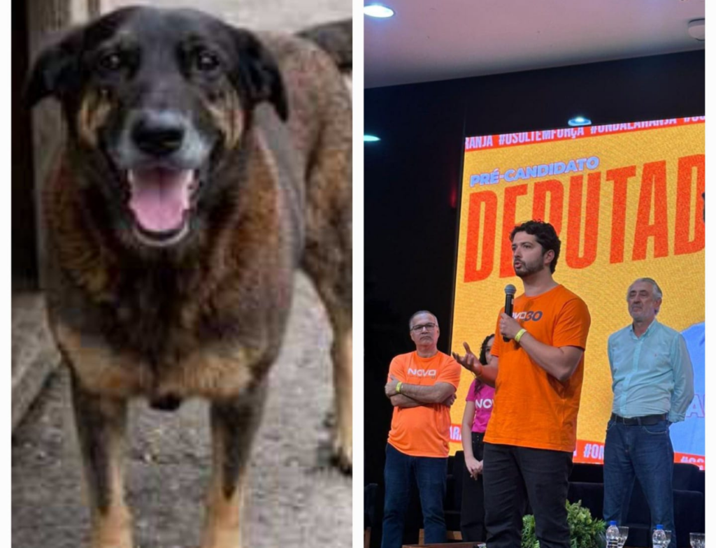 Caso do cão Orelha reacende debate sobre maioridade penal no Brasil, afirma Kauê Locks