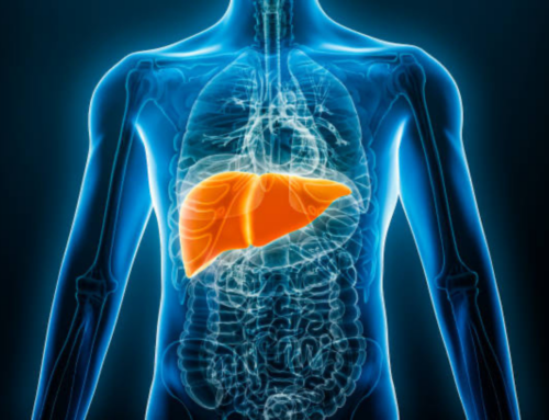 Quatro vegetais ajudam a reduzir gordura no fígado, dizem especialistas