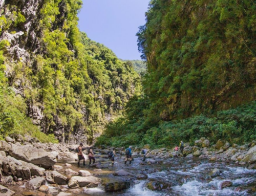 Bombeiros alertam para cuidados em trilhas no litoral de Santa Catarina