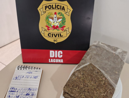 Polícia Civil apreende maconha em operação contra o tráfico no Farol de Santa Marta