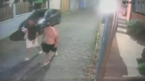 Filhote é furtado durante assalto a casa de praia em Palhoça