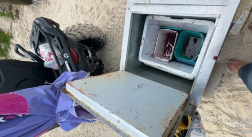 Fiscalização combate irregularidades e garante ordem na Praia do Rosa