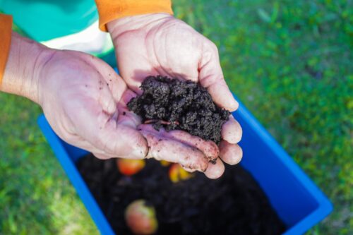 Florianópolis amplia programa de compostagem doméstica com 300 vagas