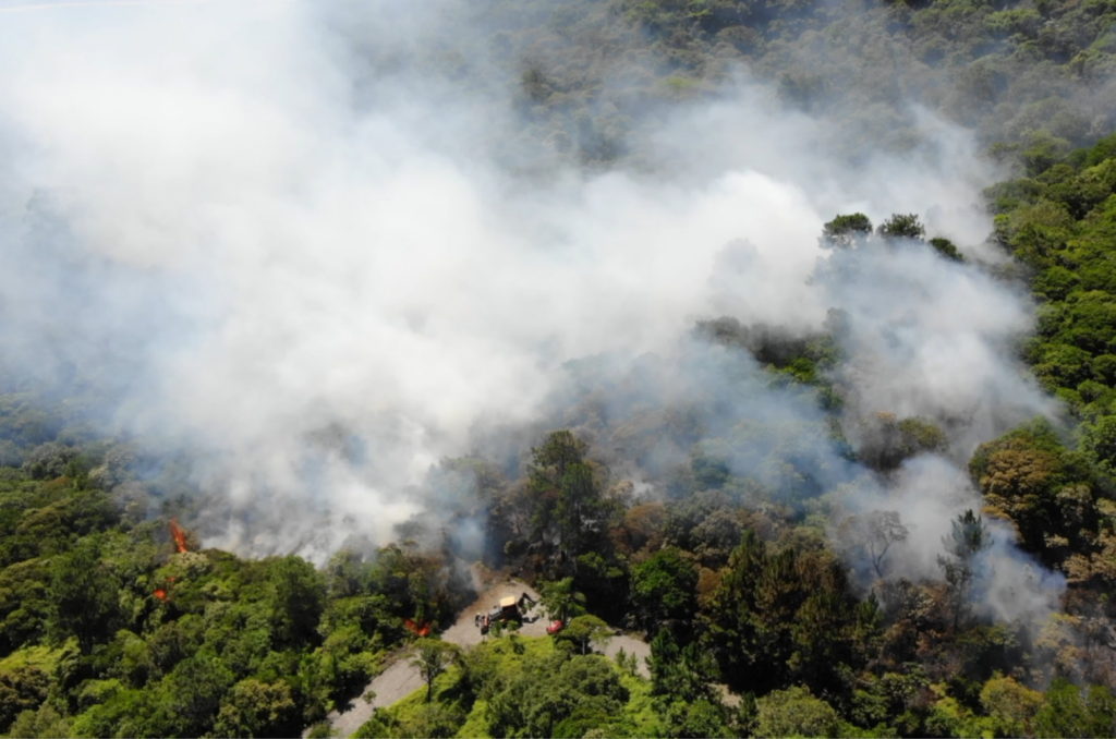 Incêndio florestal atinge área de Mata Atlântica em Balneário Camboriú