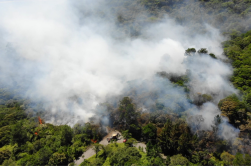 Incêndio florestal atinge área de Mata Atlântica em Balneário Camboriú
