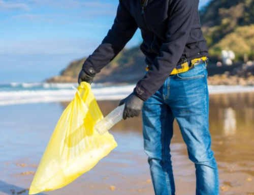 Programa Jogue Limpo conscientiza banhistas sobre lixo nos oceanos em SC