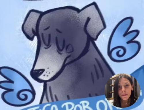 Morte do cão Orelha na Praia Brava mobiliza famosos e cobra Justiça