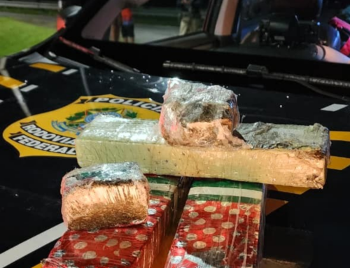 PRF prende casal por tráfico após fuga e descarte de drogas na BR-101 em Palhoça