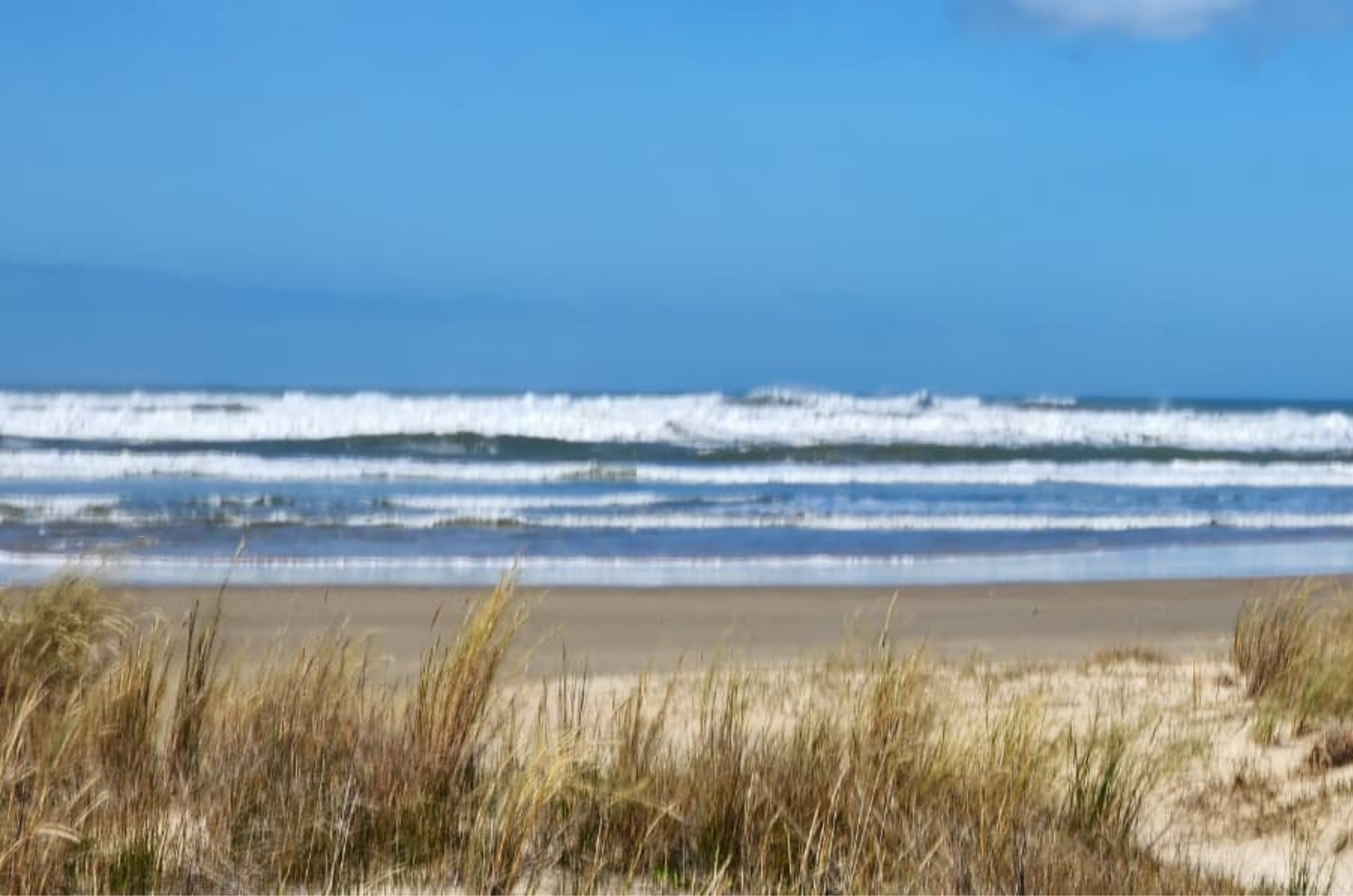 Praias do sul de Santa Catarina têm 70% de pontos próprios em análise do IMA