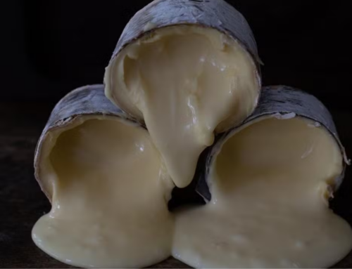 Queijo de Pomerode entra na lista dos melhores do mundo em 2026