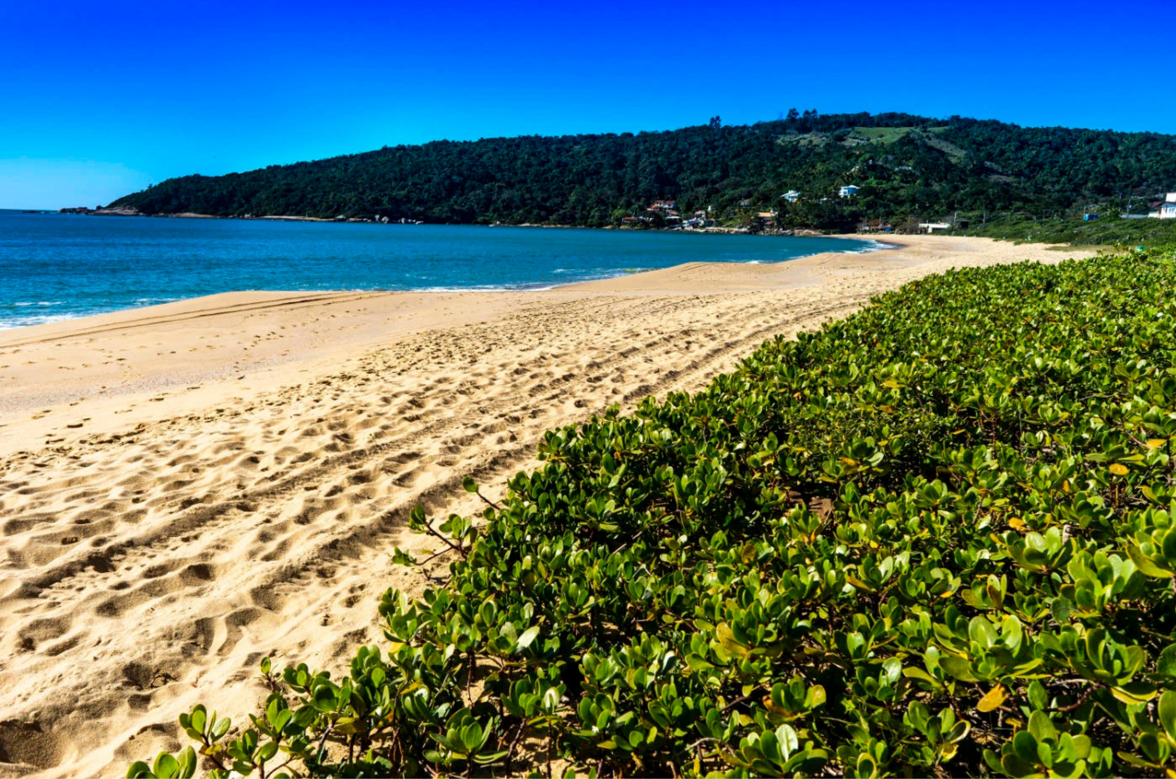 Relatório aponta situação das praias em 11 cidades do Litoral Norte de Santa Catarina