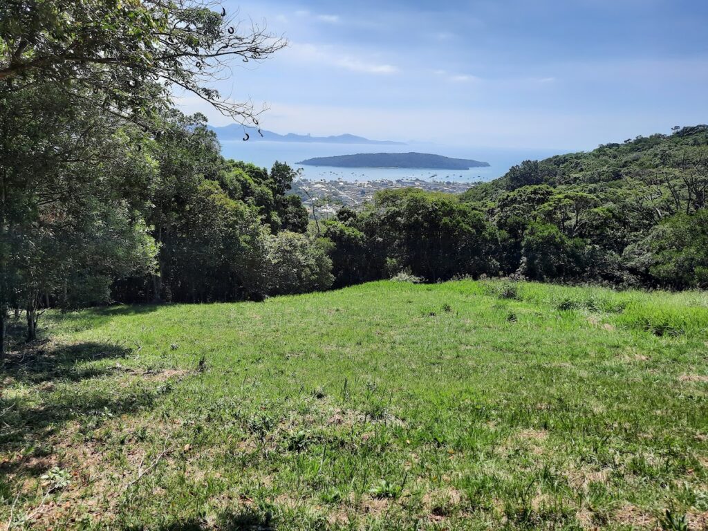 Santa Catarina tem 37 reservas ambientais privadas reconhecidas pelo IMA - Foto: Divulgação/IMA