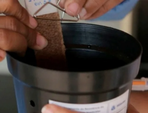 São José aposta em monitoramento inteligente para conter avanço da dengue