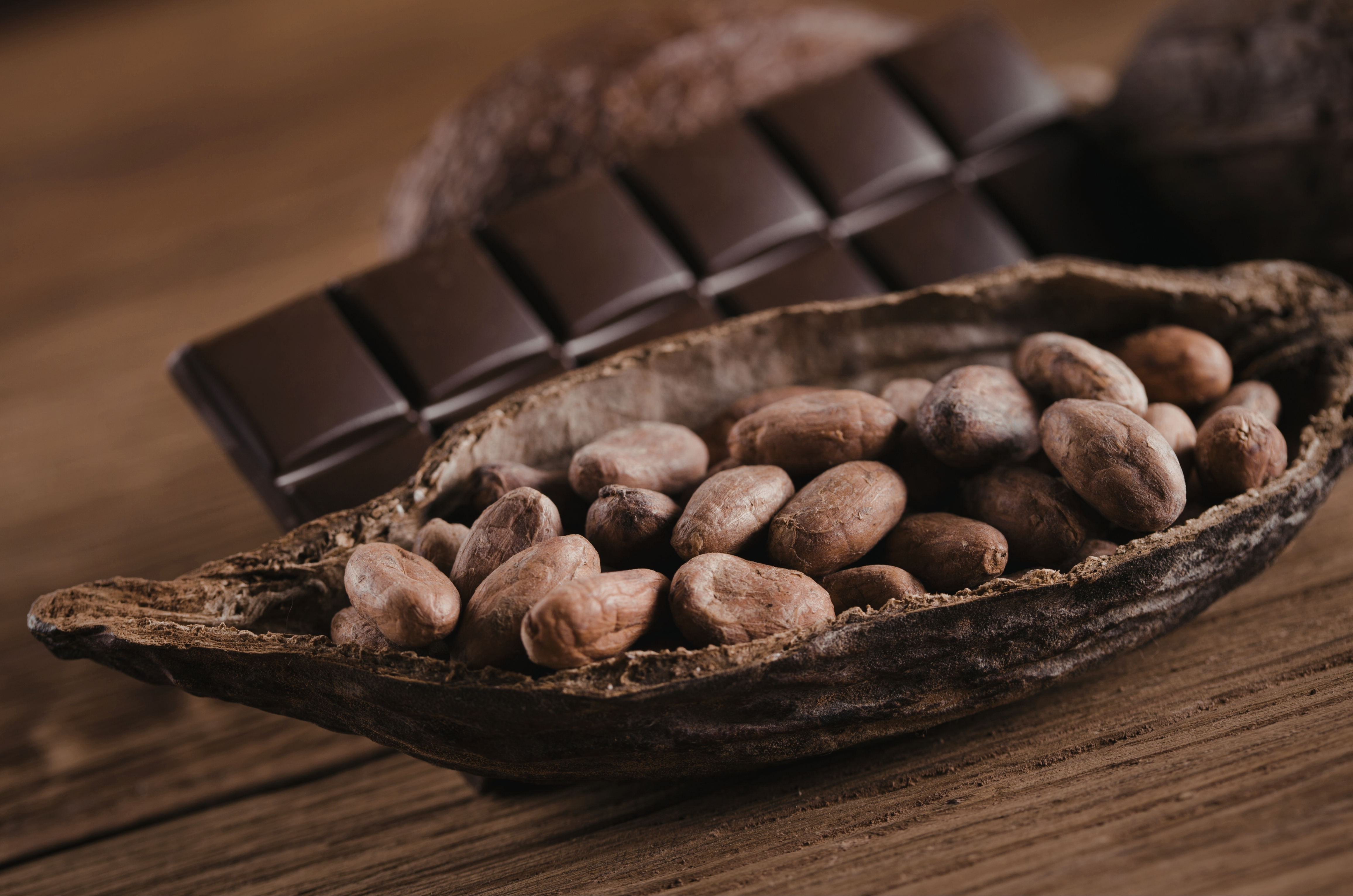 Substância do cacau é associada a envelhecimento celular mais lento