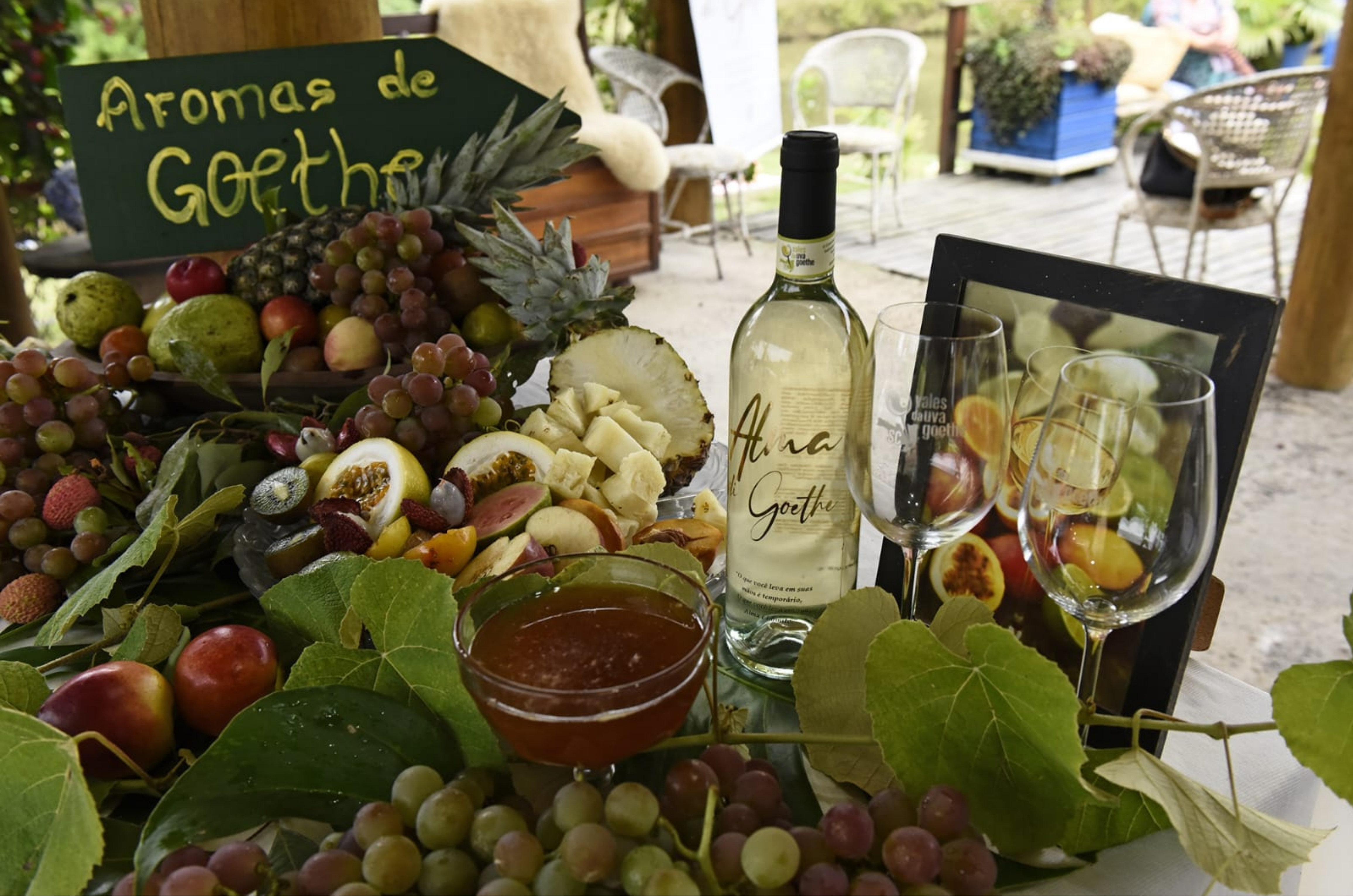 Urussanga abre a XVIII Vindima Goethe hoje