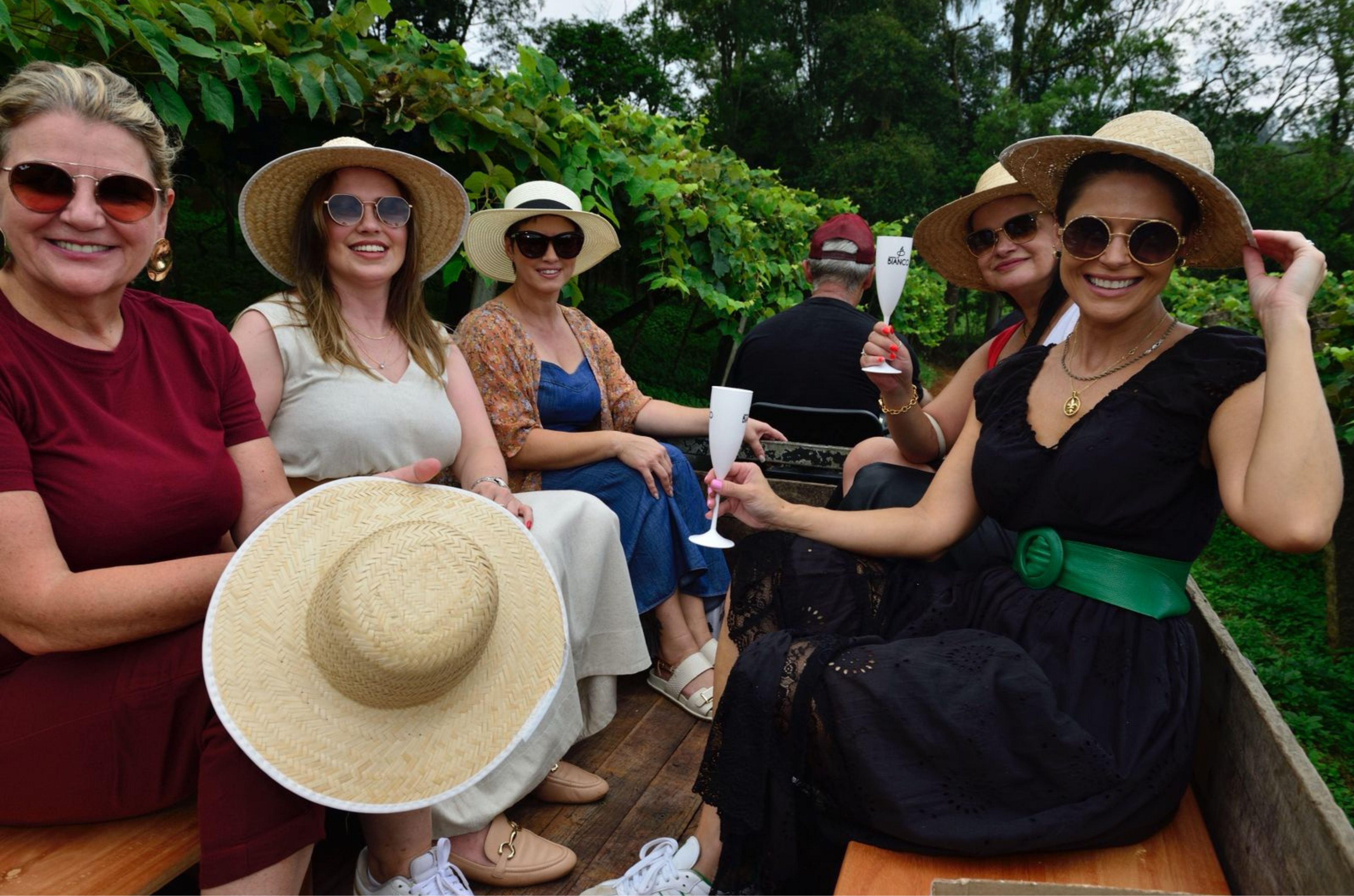 Vindima Goethe começa em uma semana e celebra safra histórica em Santa Catarina