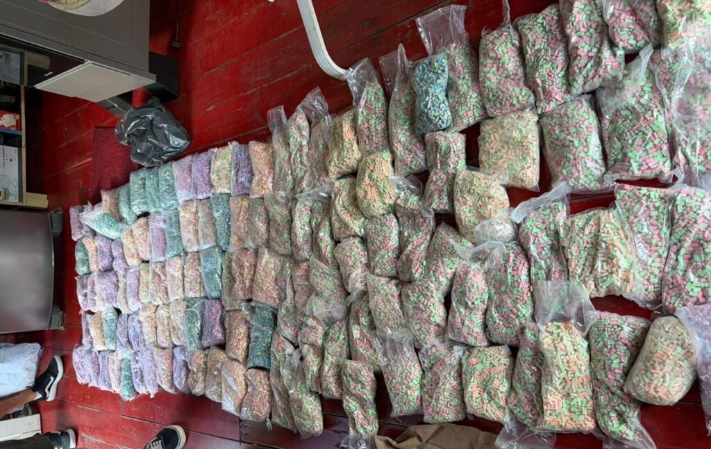 Jovem é preso com 120 mil comprimidos de ecstasy em Camboriú