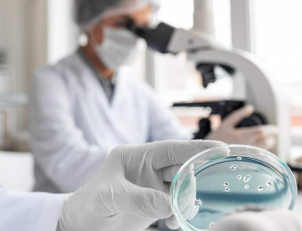 Biópsia embrionária amplia segurança e sucesso na fertilização in vitro