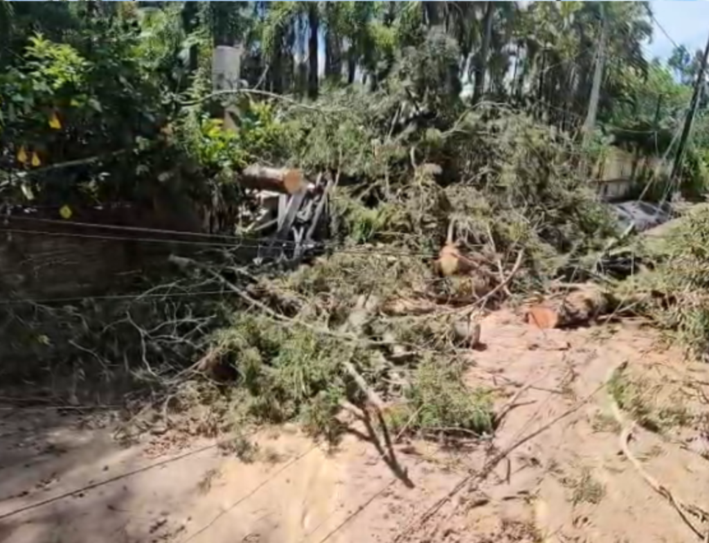 Temporal deixa moradores sem energia e água em Siderópolis
