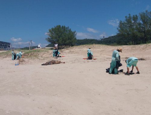 Projeto Recomeçar realiza limpeza no Morro dos Conventos em Araranguá
