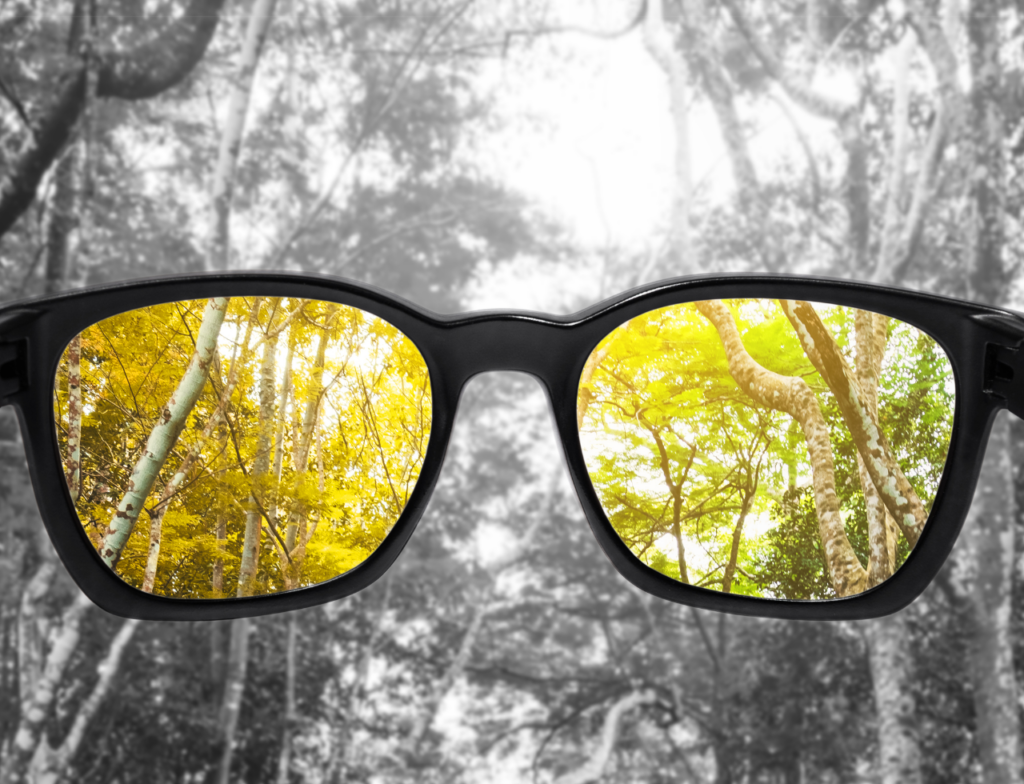 Daltonismo: o que é, como identificar e por que muitos não sabem que têm