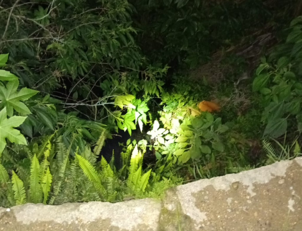 Mulher de 55 anos é encontrada morta em área de difícil acesso em Urussanga