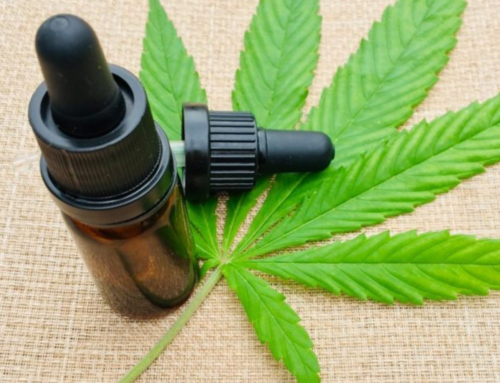 Anvisa avança na regulamentação da cannabis medicinal no Brasil