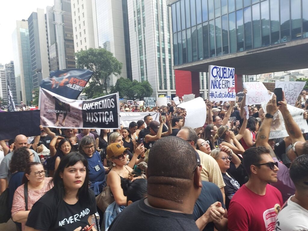 Manifestação por justiça em caso do cão Orelha reúne multidão na Avenida Paulista