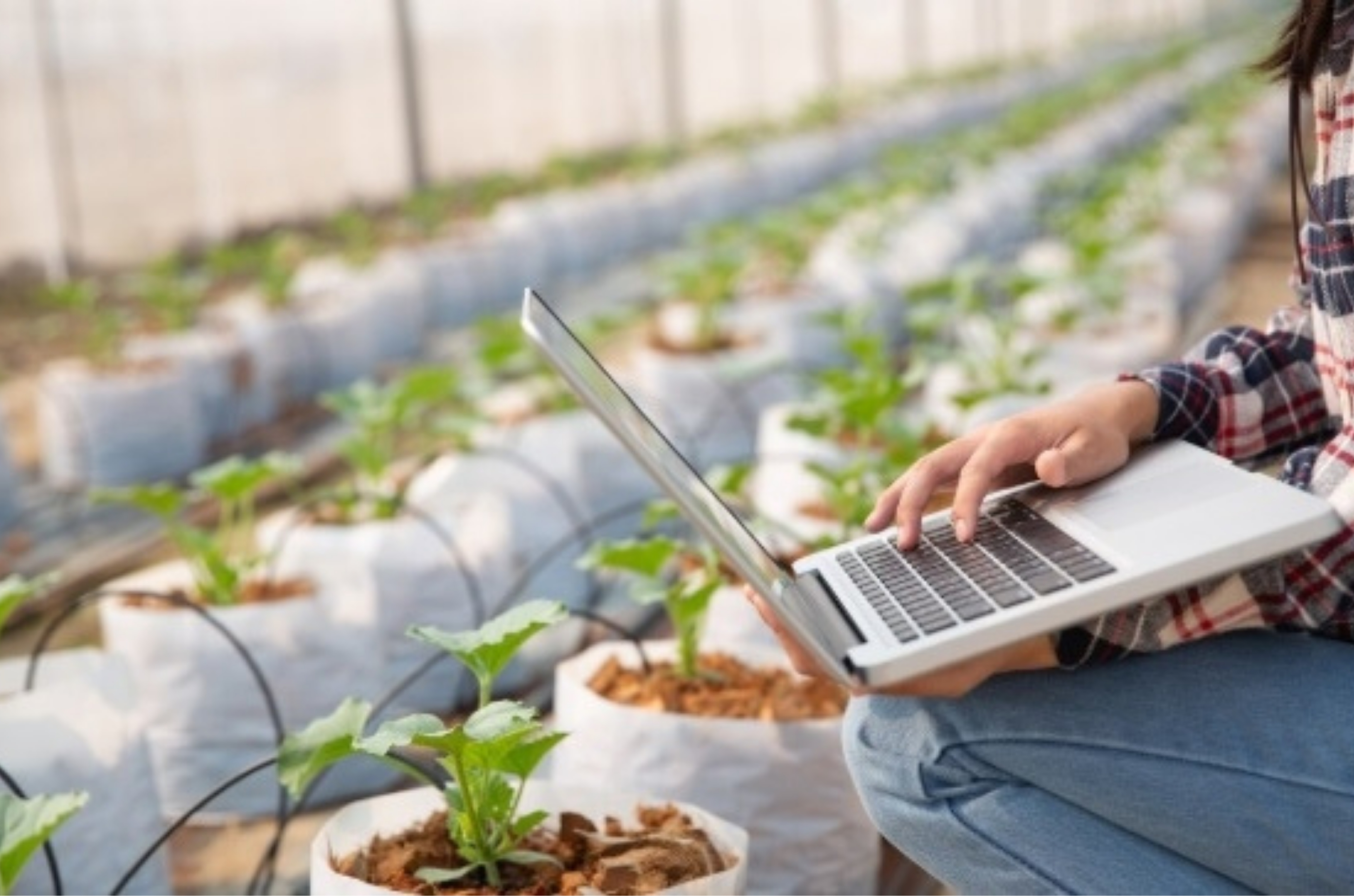 ACIT realiza talk gratuito sobre gestão profissional no agronegócio