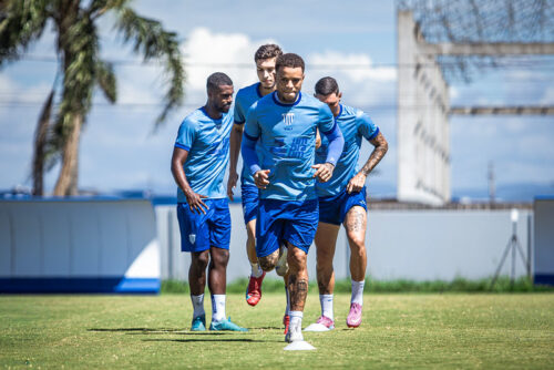 Avaí volta aos trabalhos e mira decisão na Ressacada