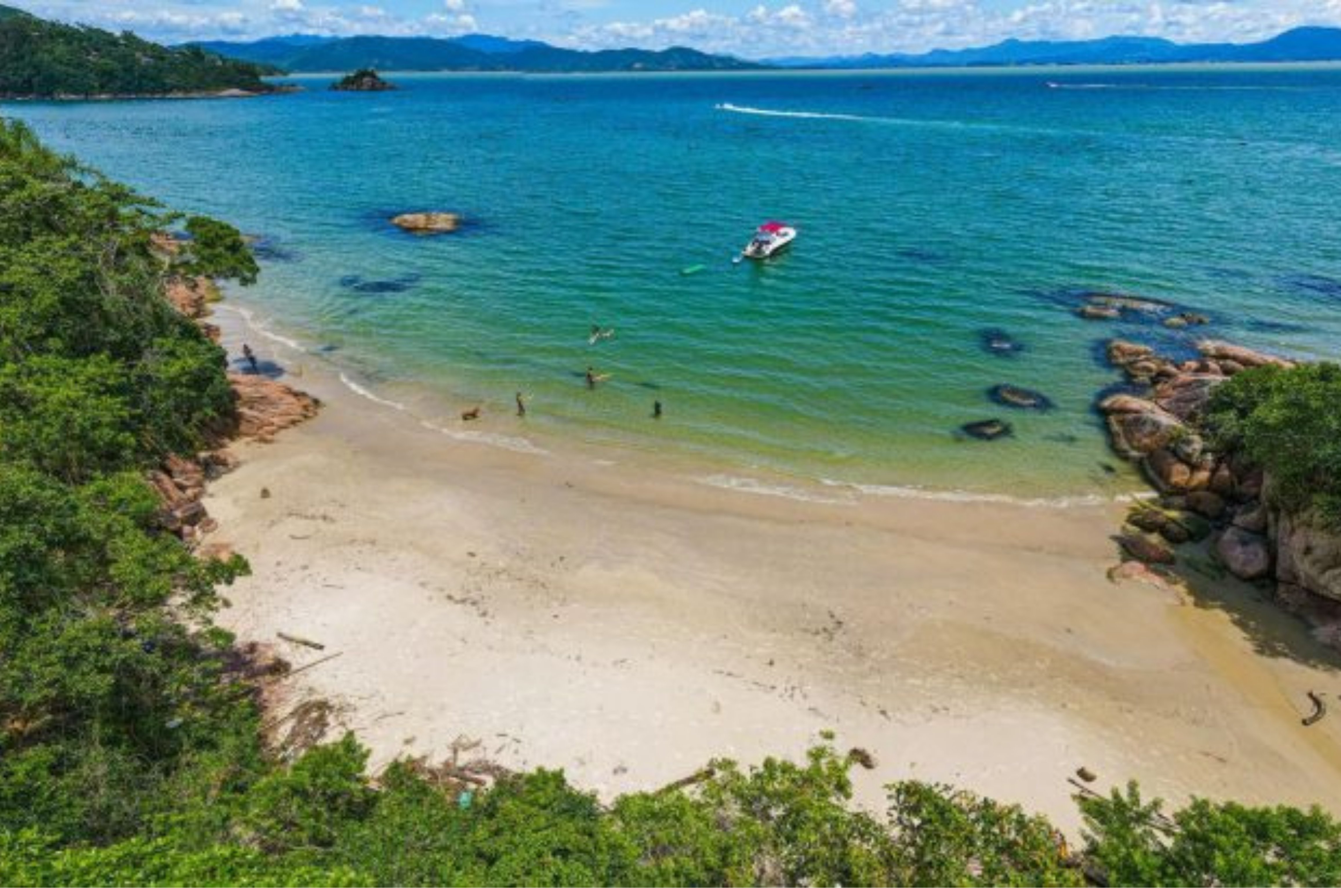 Balneabilidade na Grande Florianópolis: veja praias próprias e impróprias para banho