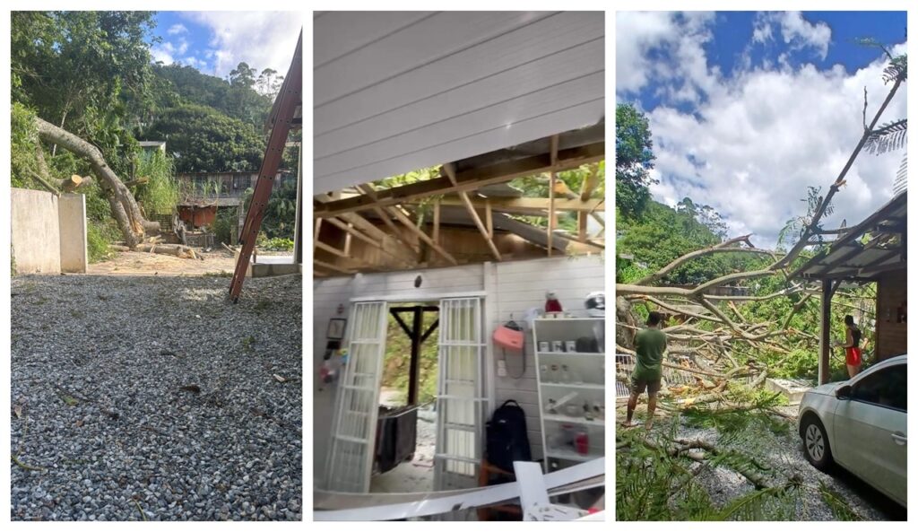 Desabamento de árvore gigante danifica portão e telhado de residência em Itajaí. - Foto: Divulgação/CBMSC