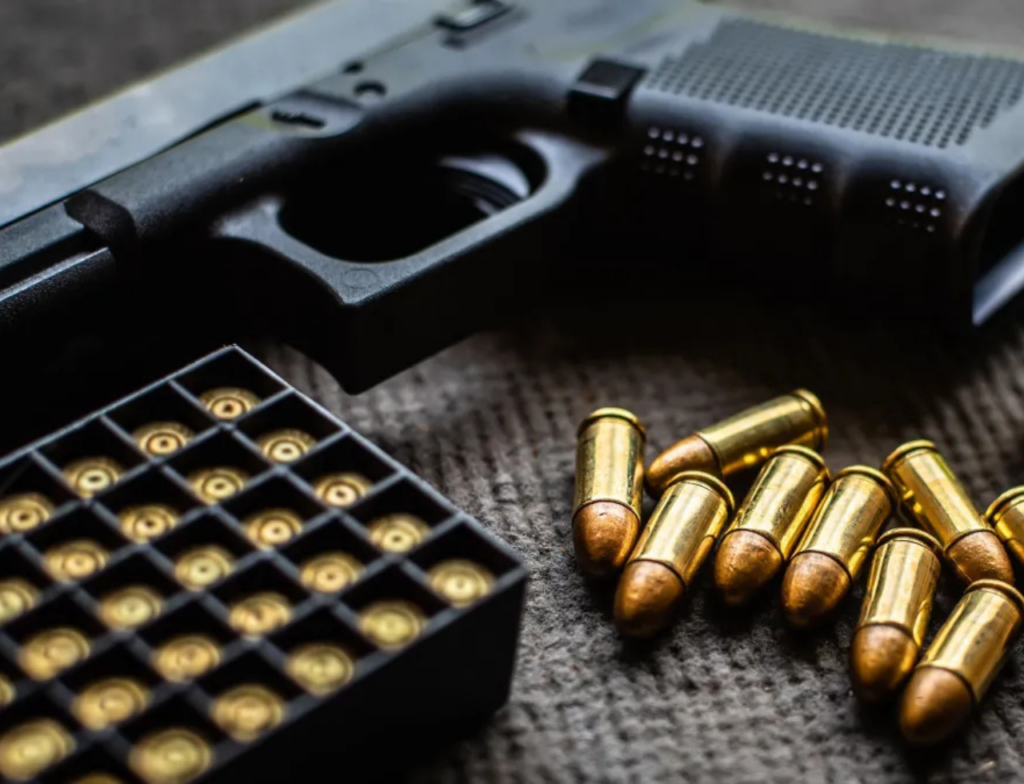 Comissão aprova projeto que cria o “Minha Primeira Arma”