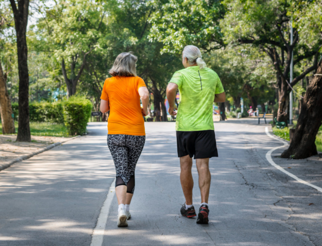 Idosos aderem a treino com elásticos para mais autonomia