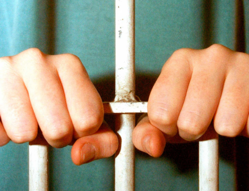 Caso Cão Orelha reacende debate sobre maioridade penal