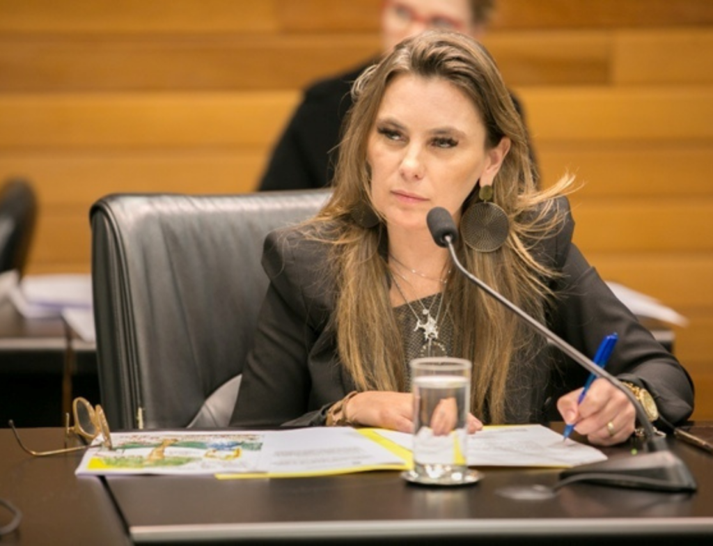 Deputada propõe protocolo estadual de proteção às mulheres