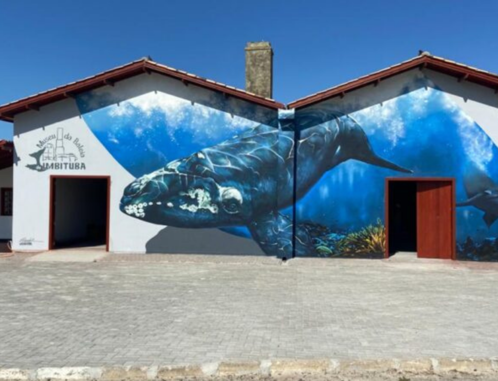 Museu da Baleia em Imbituba preserva única ossada de baleia-franca do Sul do país