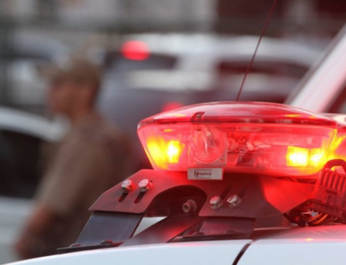 Polícia Militar apreende maconha em varredura preventiva em Tubarão