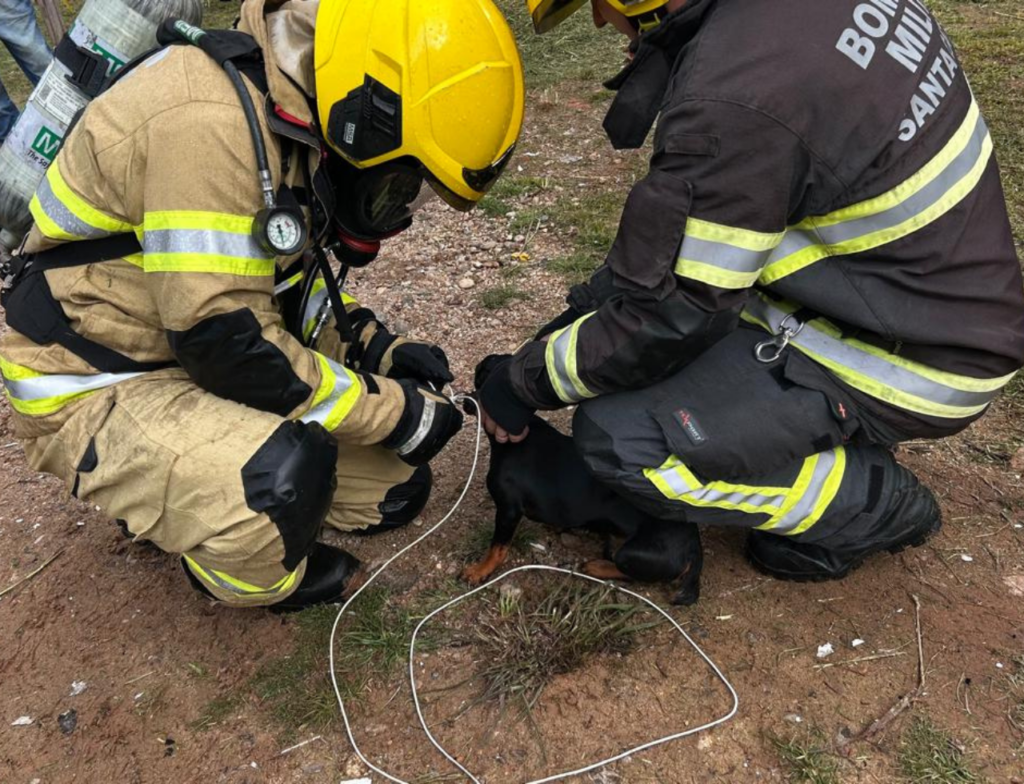 Incêndio destrói casa em São João Batista e cão é salvo