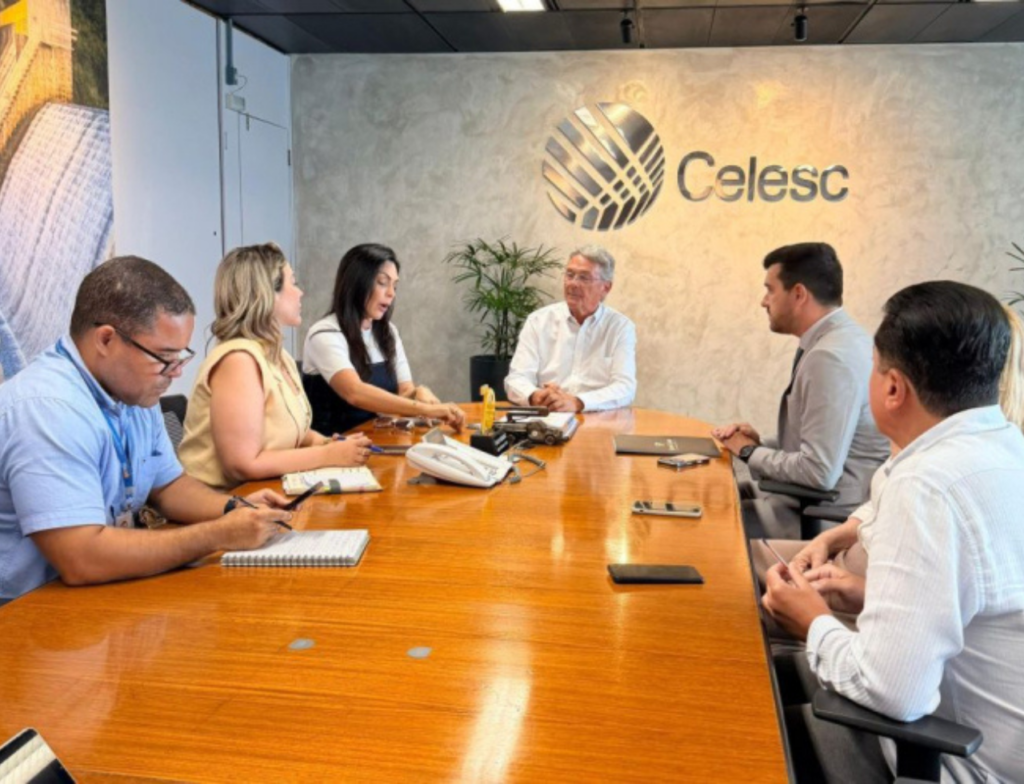 Reunião debate distribuição de energia elétrica em áreas da APA da Baleia Franca